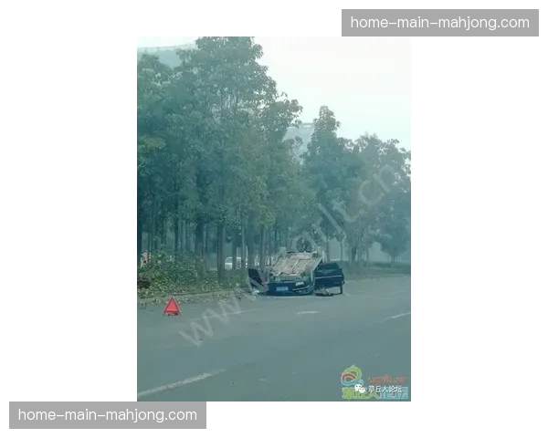 赛道突发状况：一棵大树在风中倒下，压垮部分赛道护网